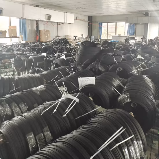 Indoor/Outdoor 1 2 4 Core G657A1/A2 GJYXFCH FRP/Stahldraht Single Mode FTTH Drop Flat Optic/Glasfaserkabel